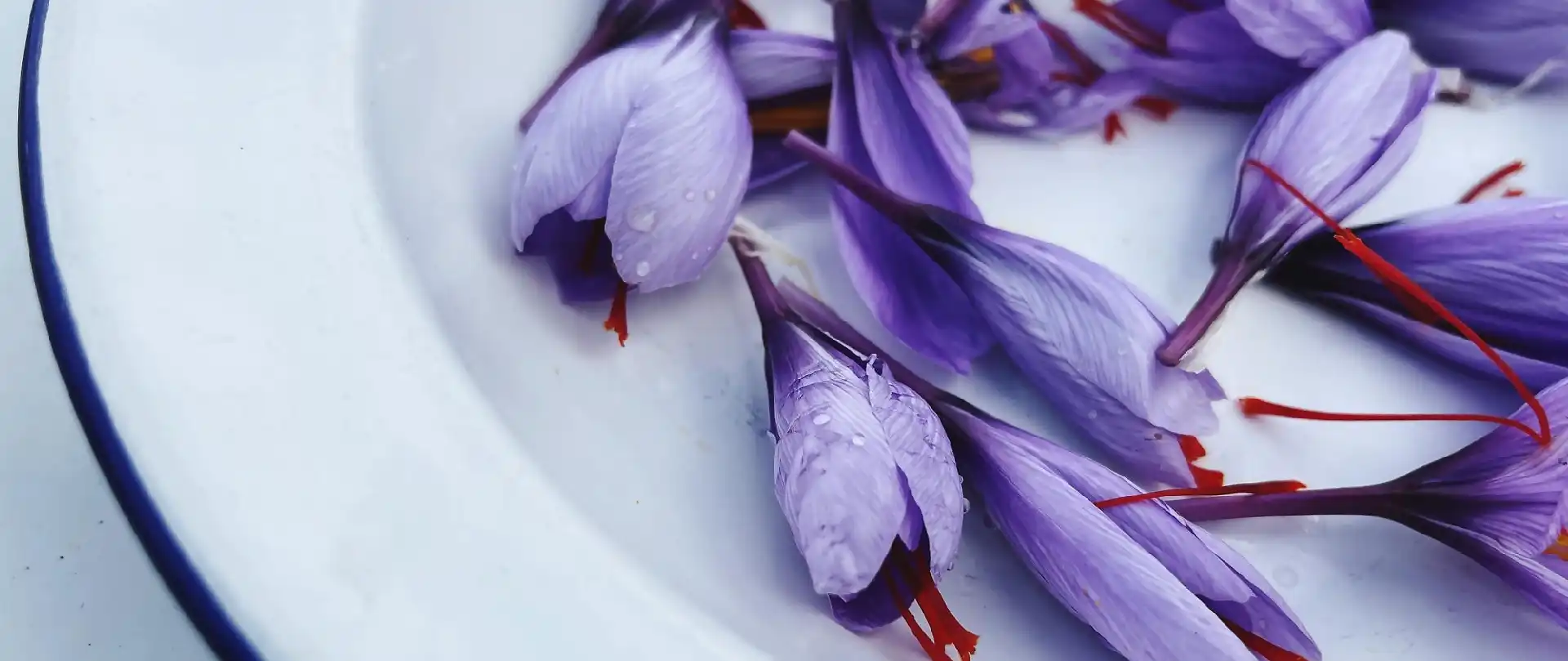 Negin Saffron Bulk Packaging