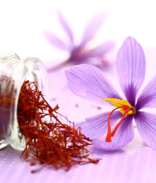 Super Negin Saffron