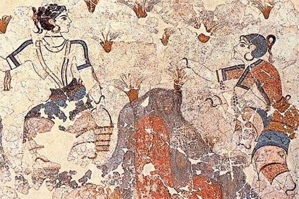The History of Saffron on Fresco