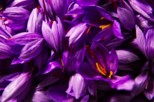 What Is Saffron Tea Good for