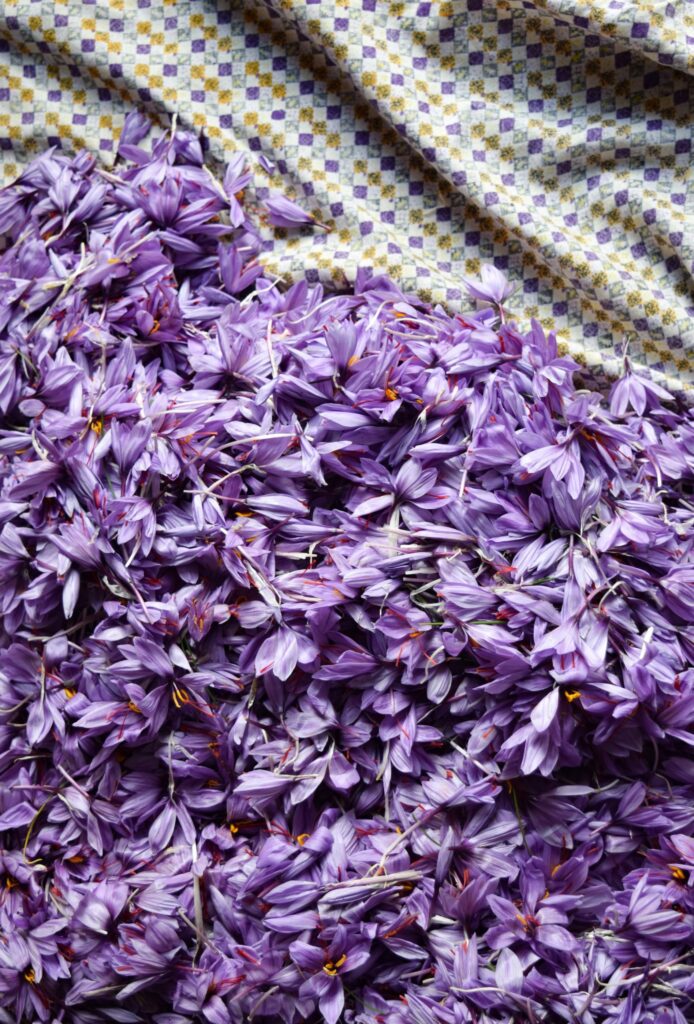 The best Iranian saffron
