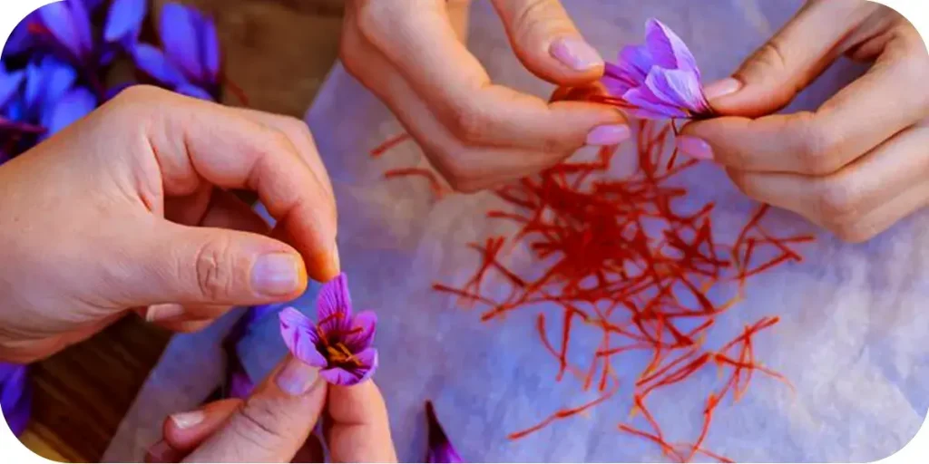 Which Country's Saffron is Truly the Best