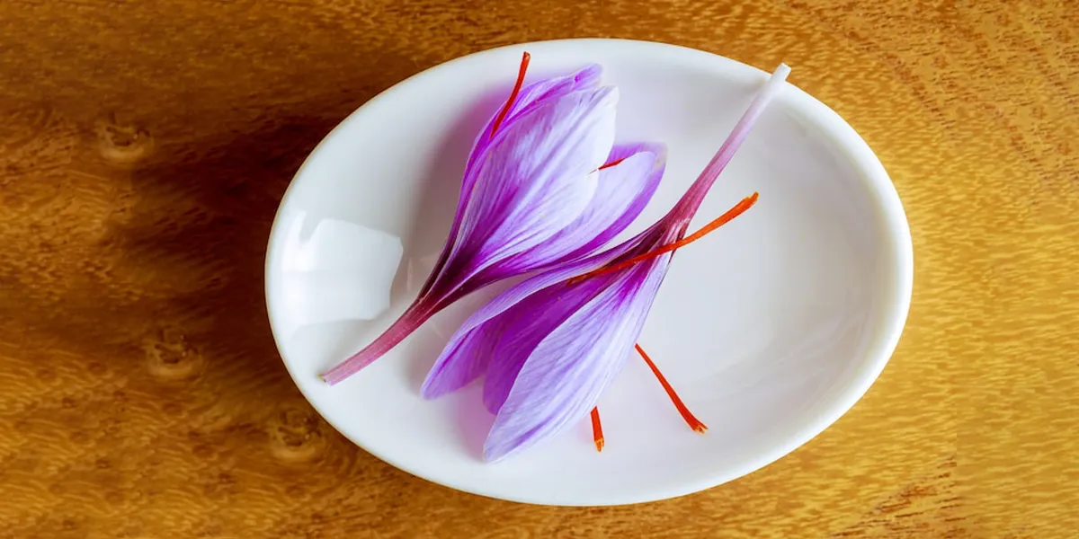 Which Saffron is Better
