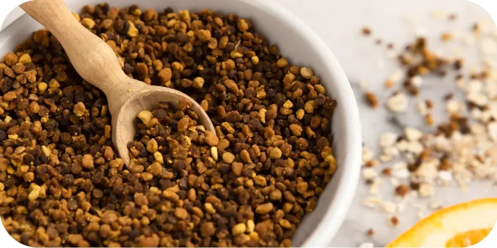 Grains of Paradise
