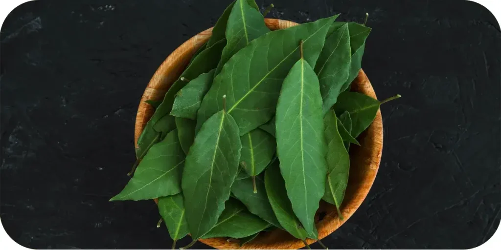 Kaffir Lime Leaves