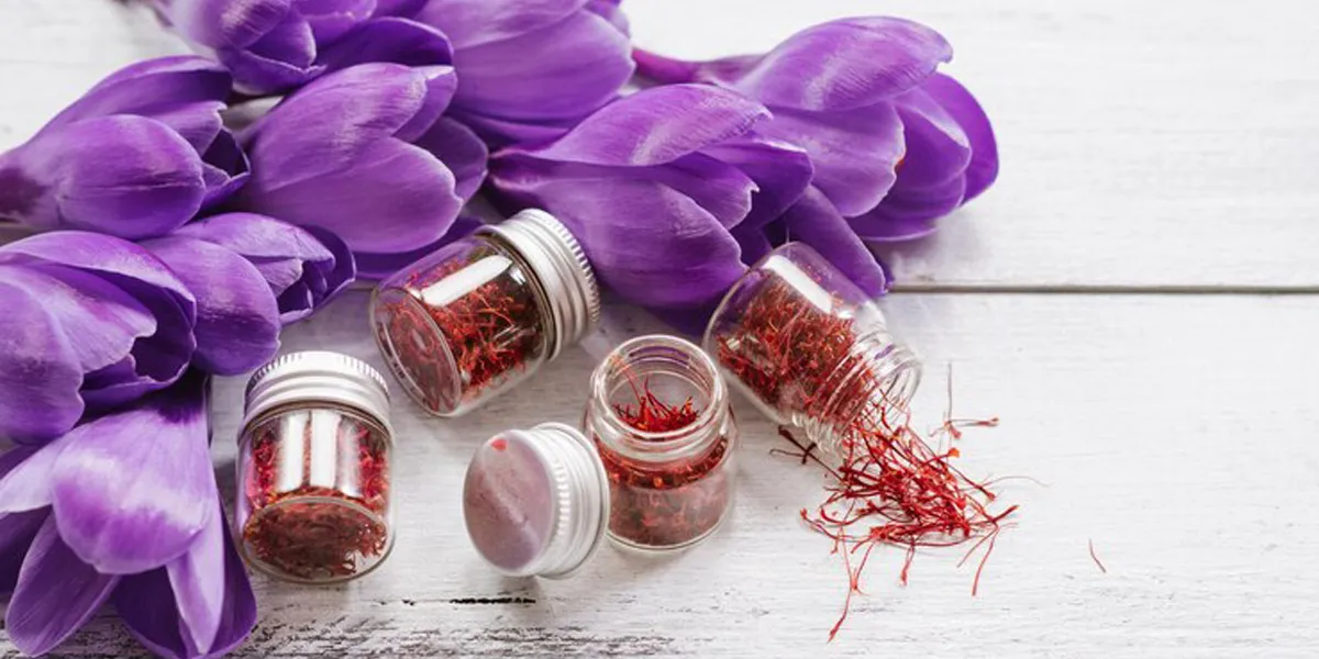 Processing Methods in Persian Saffron