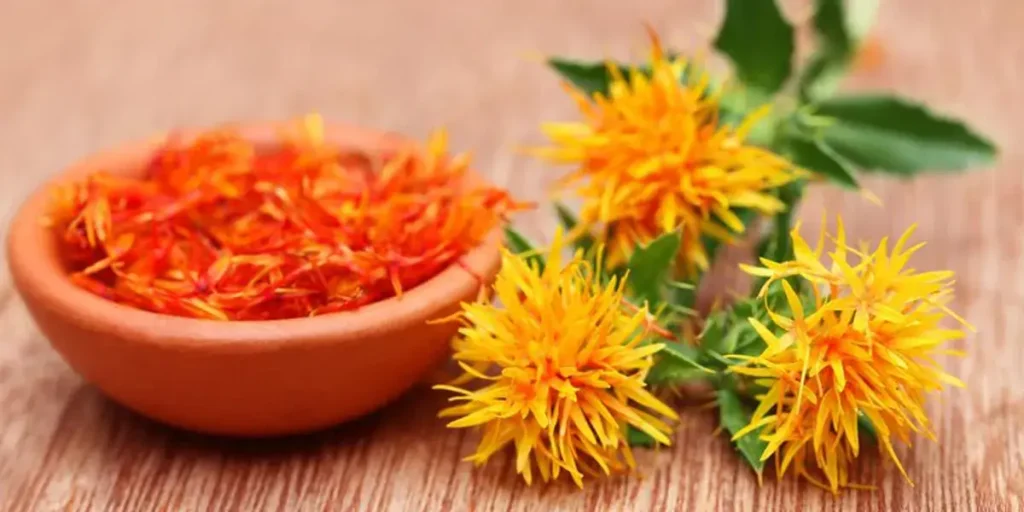 Top 5 Saffron Substitutes