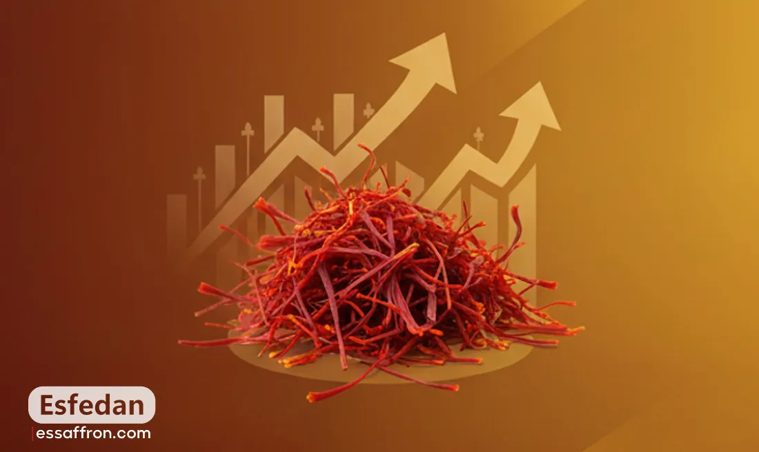 Wholesale & Retail Saffron Prices: Understanding the 2025 Trends