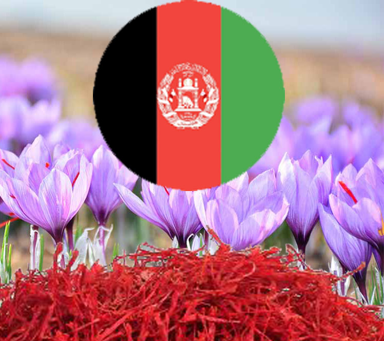 بهترین زعفران کشور
