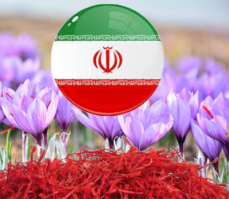 بهترین زعفران کشور