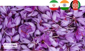 The Complete List of Saffron Producing Countries