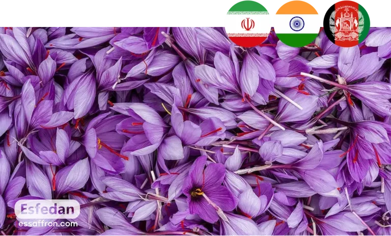 The Complete List of Saffron Producing Countries
