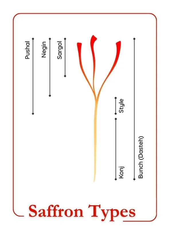 Which Saffron Type Is Right for You in Austria